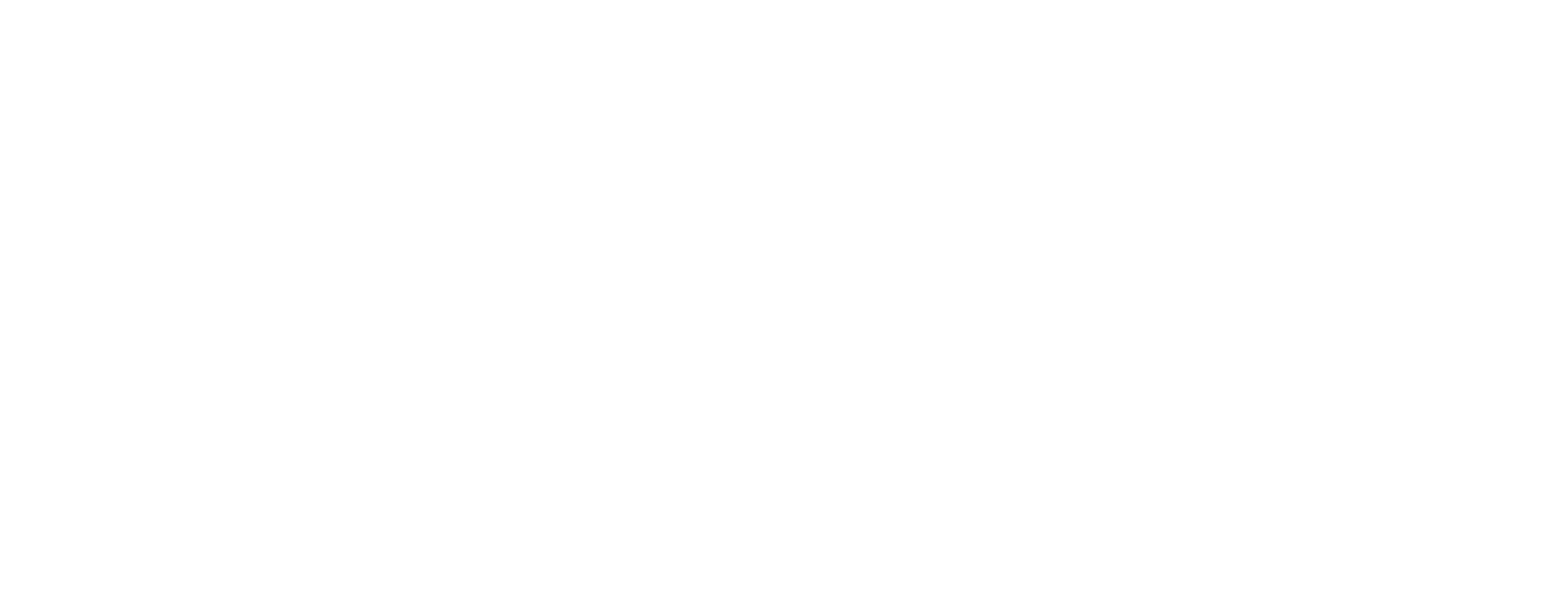 New Easterseals NJ Logo White